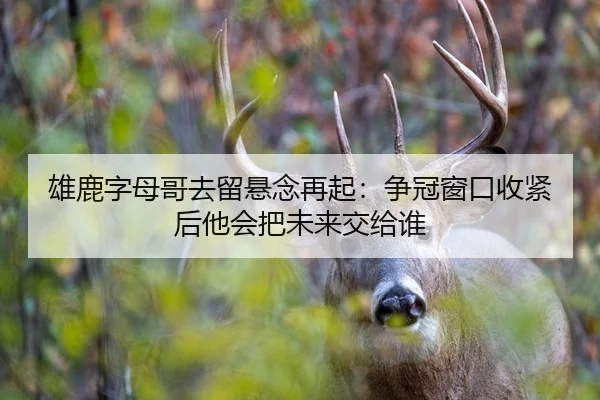 雄鹿字母哥去留悬念再起：争冠窗口收紧后他会把未来交给谁